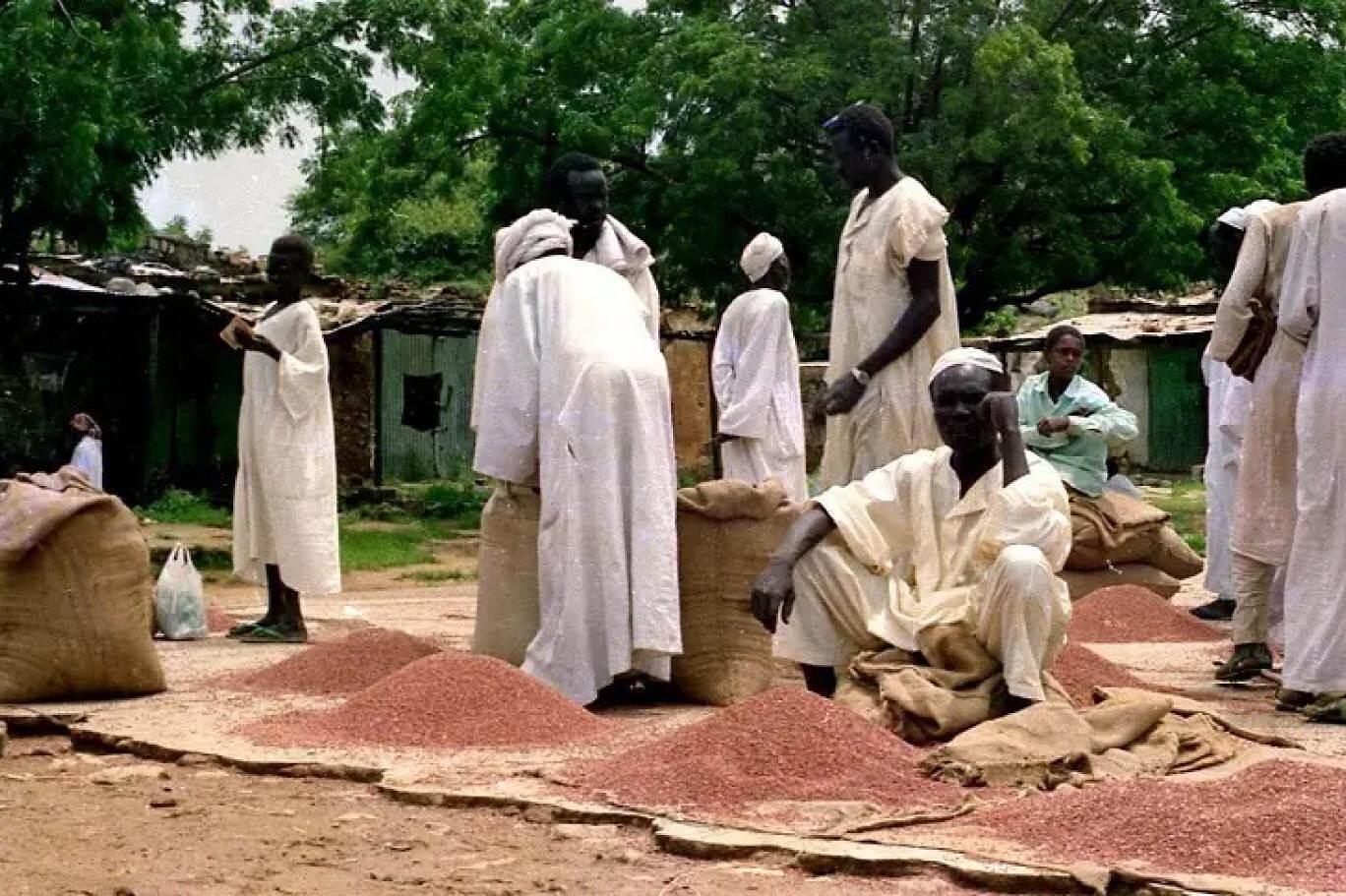 قوات الدعم السريع تحارب المزارعين السودانيين ومالكي المواشي بمنعهم عن بيع بضائعهم في مناطق الجيش السوداني