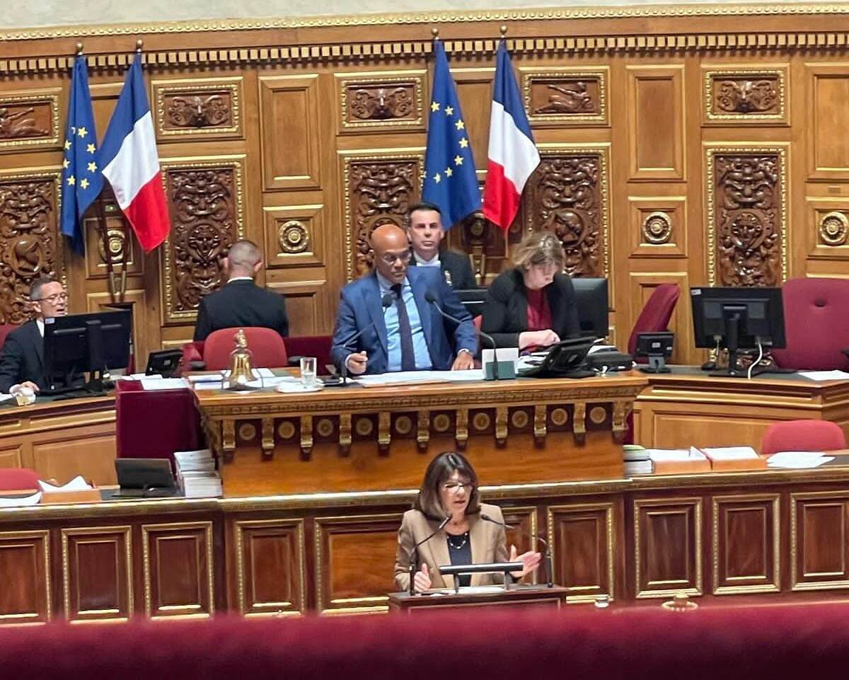 مجلس الشيوخ الفرنسي يصوت على مشروع قرار لإدانة هجمات الحوثيين في البحر الأحمر