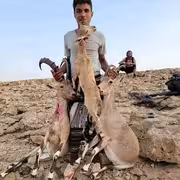 انتشار توثيق قنص الحيوانات المهددة بالانقراض في اليمن يثير قلقًا بيئيًا