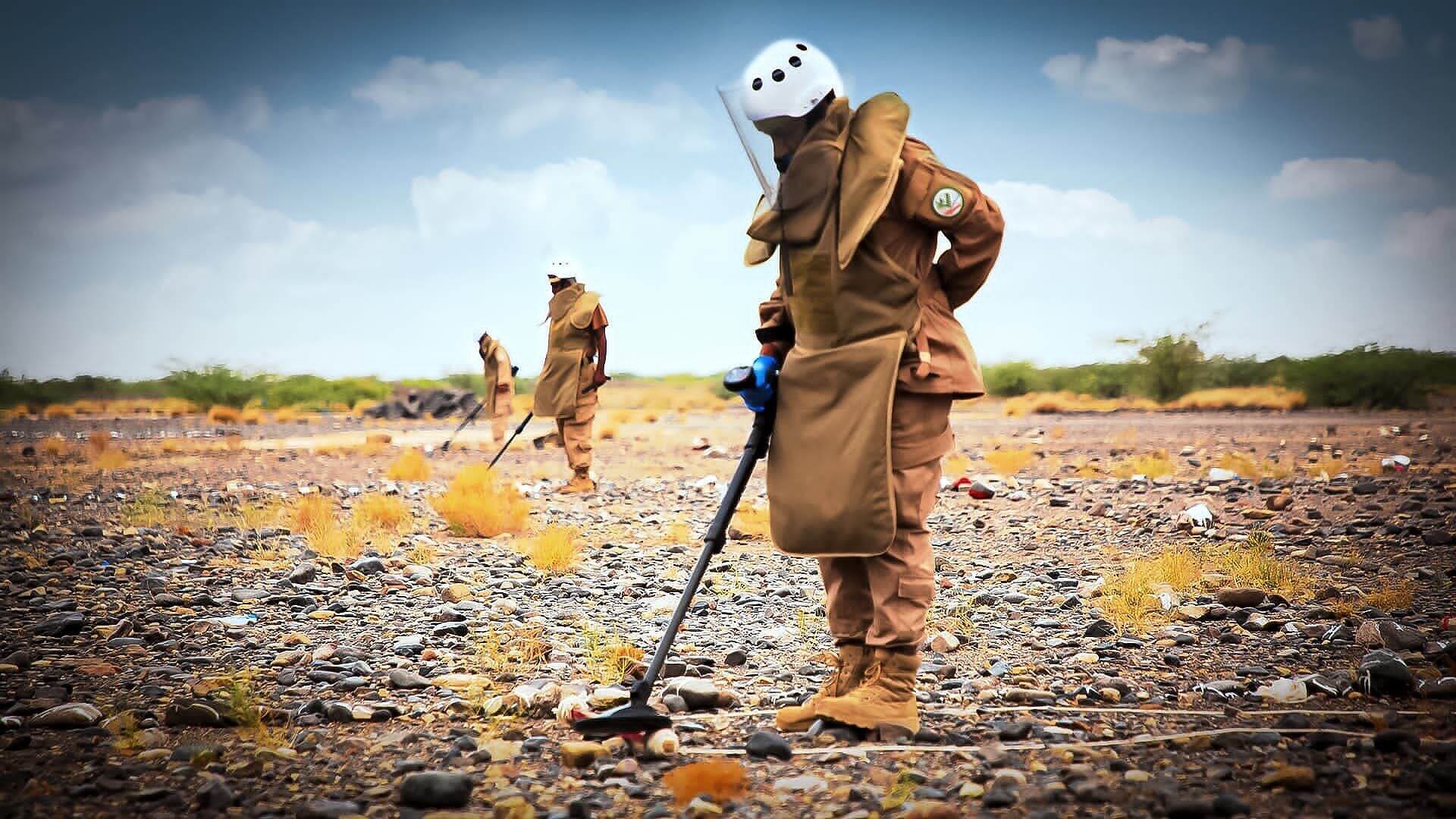 مشروع" مسام "ينتزع 500 ألف ما بين "لغم وذخيرة وعبوة ناسفة" في اليمن منذ بدأ عمله في عام 2018