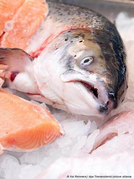 الغذاء والسرطان.. كيف تؤثر خياراتنا اليومية على خطر الإصابة؟