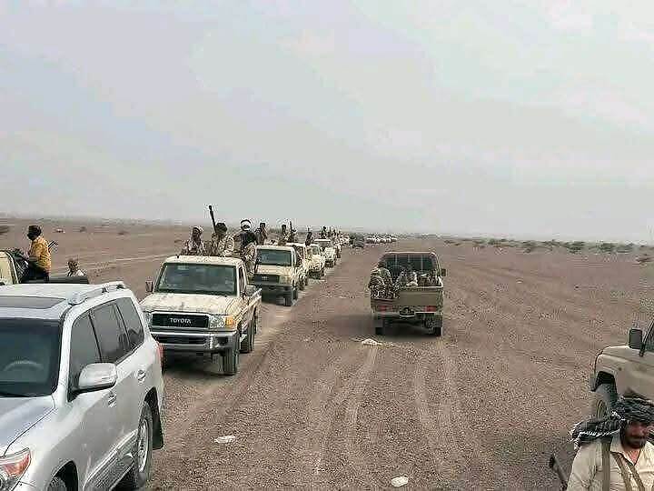 كيف نجحت الحملات الأمنية بقيادة شكري في الحد من التهريب ونزاعات الأراضي