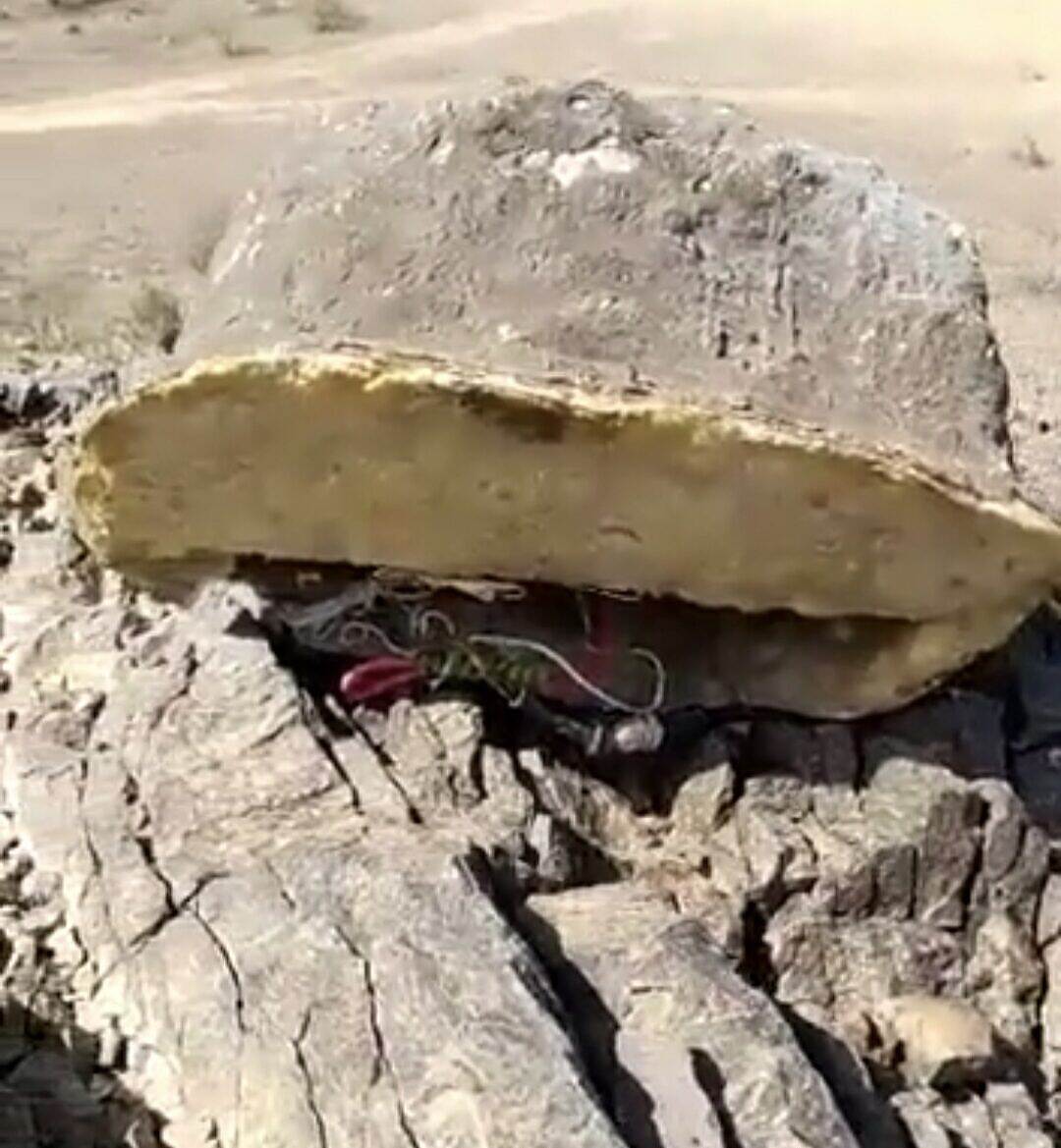 مقتل شابتين أثناء رعي الأغنام بلغم زرعته جماعة الحوثي في البيضاء