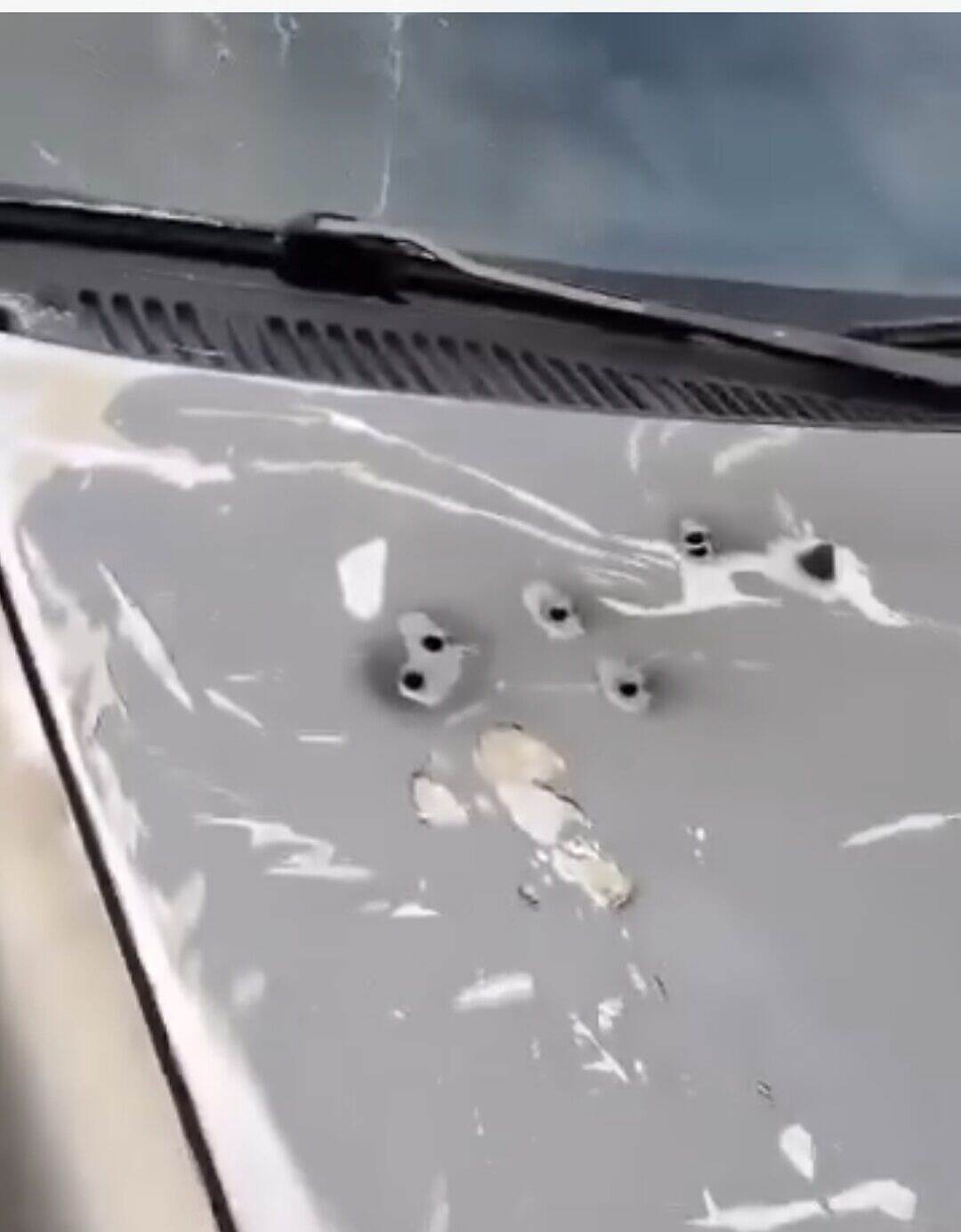 حادثة إطلاق نار وتهديد تطال امرأة وابنتها في حي زيد الموشكي بتعز