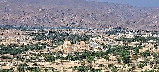 في ريمة شبوة تموت الأمهات ... بحثاً عن الرعاية الصحية