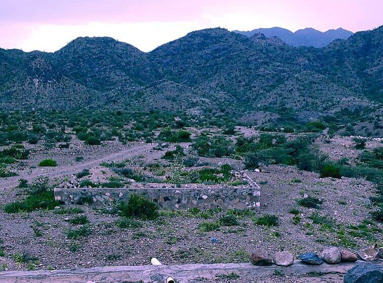 قيادي حوثي ومسلحوه في عمارة الحشاء يمنعون عمالًا من العمل ويطلقون الرصاص عليهم