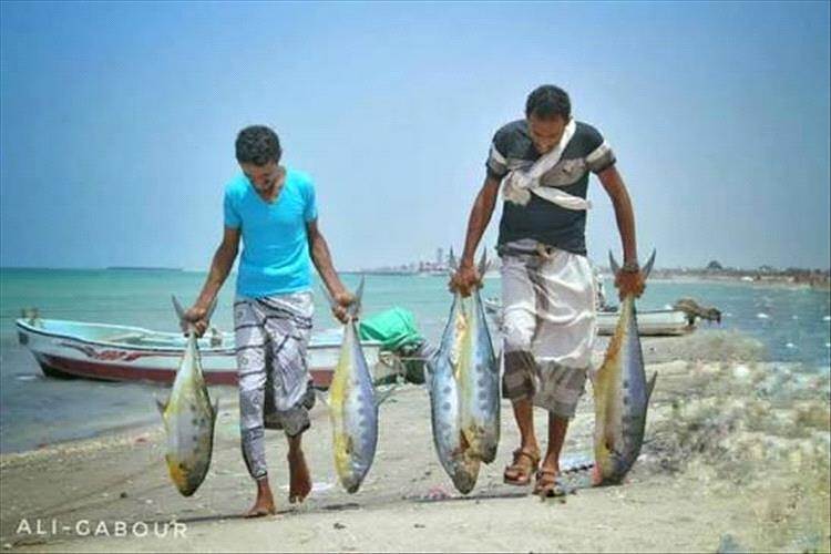 فقدان 6 صيادين في مديرية ذباب خرجوا في رحلة صيد ولم يعودوا