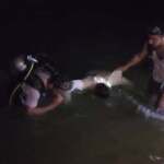 فرق الدفاع المدني في مأرب تنتشل جثتي رجلين وامرأة وانقاذ أخرى من سد مأرب