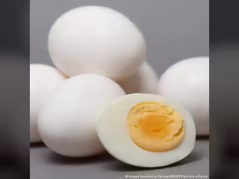البيض ومرض الزهايمر .. هل تحمل البيضة سر الحماية؟
