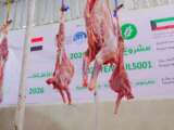 بدعم من العون المباشر الكويتية.. تدشين توزيع مشروع الأضاحي لـ1320 مستفيداً في حضرموت
