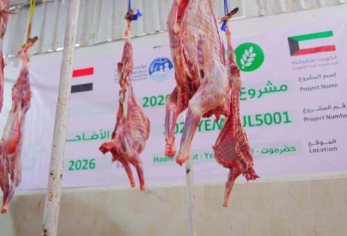 بدعم من العون المباشر الكويتية.. تدشين توزيع مشروع الأضاحي لـ1320 مستفيداً في حضرموت
