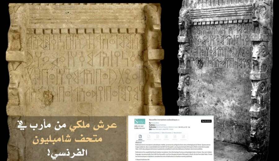 تراجع الجليد البحري في غرينلاند يسمح للحيتان العملاقة بدخول المياة لأول مرة