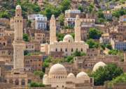 نقص الوقود في تعز أجبر أحد المستشفيات على خفض عدد الحضانات