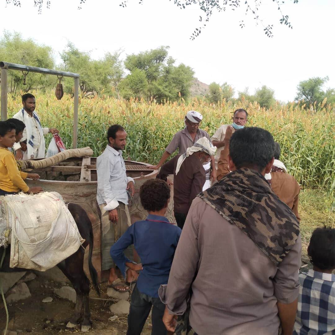 انتشار الكوليرا في مناطق حقب ناتج عن بير ملوثة