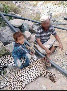 قتل واصطياد النمور
