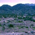 قيادي حوثي ومسلحوه في عمارة الحشاء يمنعون عمالًا من العمل ويطلقون الرصاص عليهم