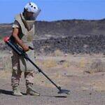 مشروع سام يتلف 1681 قطعة من الألغام والمخلفات الحربية في المكلا