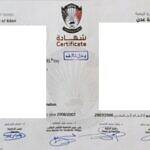 طلاب سابقون في جامعة عدن: "شهادات «بدل فاقد وبدل تالف» بمواصفات مشوهة تعرقل المنح والتوظيف.